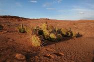 30张狂野的犹他州沙漠摄影照片欣赏