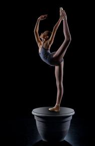 灯光魔术：Richard calmes芭蕾舞者摄影作品欣赏