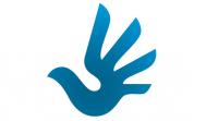 鸟元素logo设计