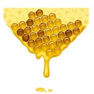 蜂蜜有哪些好处和禁忌