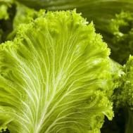 什么蔬菜含维生素b2呢