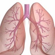 肺结核传播途径有哪些