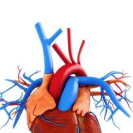 心脏起搏器是什么