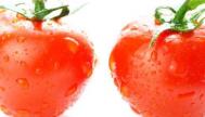 西红柿的功效与食用禁忌