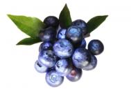 蓝莓的营养价值及功效-蓝莓怎么吃？
