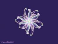 Photoshop用变形工具设计漂亮的彩带花朵效果教程