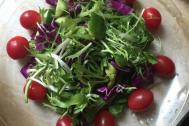 减肥低卡蔬菜沙拉的吃法