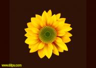 Photoshop设计一朵漂亮的向日葵效果教程