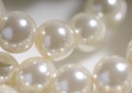 珍珠粉祛黑头的方法-祛黑头的误区