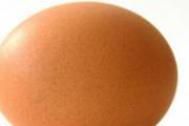 每天只吃鸡蛋能减肥吗