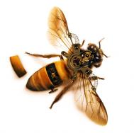 PS合成一只简单的机器蜜蜂教程