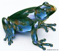 PS合成一只剔透的玻璃青蛙教程