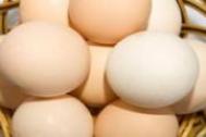 水煮蛋减肥法反弹吗