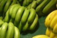 香蕉减肥法原理