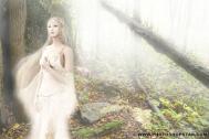 Photoshop合成在迷雾树林中的CG美女教程