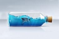PS合成装在瓶子里凶恶鲨鱼模型教程