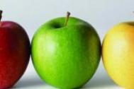 苹果三日减肥法有用吗