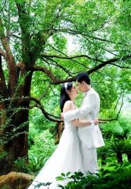 Photoshop调出树林婚纱相片柔美的黄紫色效果教程