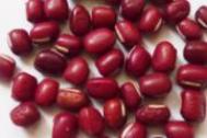红豆减肥法正确做法周瘦10斤
