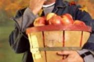 苹果减肥法后怎样恢复饮食