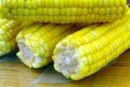 晚餐吃玉米可以减肥吗