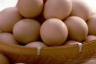 高血压能吃鸡蛋吗