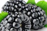 揭秘三种黑色水果 美白又养颜