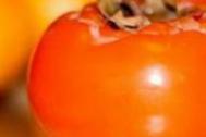 柿子的营养价值及食用方法