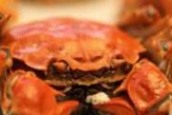 高血压能吃螃蟹吗