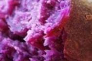 紫薯容易消化吗