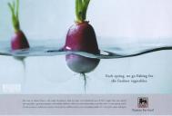 《delhaize食品系列广告》