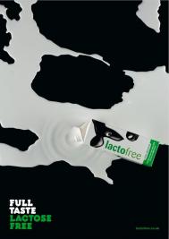 美国Lactofree牛奶视觉广告设计欣赏[1P]