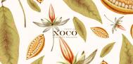 墨西哥XOCO巧克力包装设计欣赏
