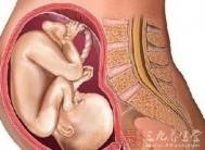 怀孕31周 31周胎儿的发育指标