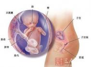 怀孕22周  22周胎儿有多大了