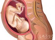 怀孕七个月男胎儿图 7个月胎儿发育状况