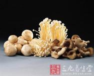 老人多食当季蘑菇可永葆年轻健康