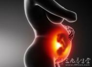 孕妇吃什么对胎儿好呢