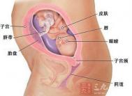 怀孕六个月胎儿图 怀孕6个月妈妈的变化