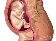 怀孕23周  怎样对胎儿进行胎教