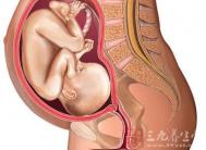 怀孕八个月男胎儿图 8个月男胎发育指标