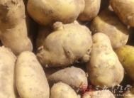 蒸土豆的做法 土豆蒸着吃营养更丰富