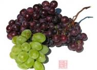 孕妇可以吃葡萄吗 怎么吃最健康