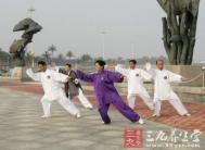太极拳视频 杨振铎世传杨式太极拳103式教学
