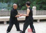 太极拳视频 讲解杨式太极拳基本步法习练