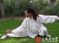 太极拳视频 杨氏85式太极拳教学(十一)
