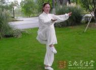 杨式太极拳 谈杨式太极拳的学习特点和要求