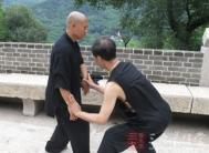 杨式太极拳 如何学习杨式太极拳的顺步推手