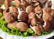 蟹味菇的家常做法 几种用蟹味菇做出的美食
