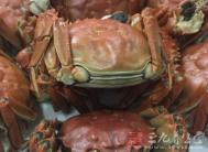 水煮螃蟹的家常做法 教你做好吃的螃蟹